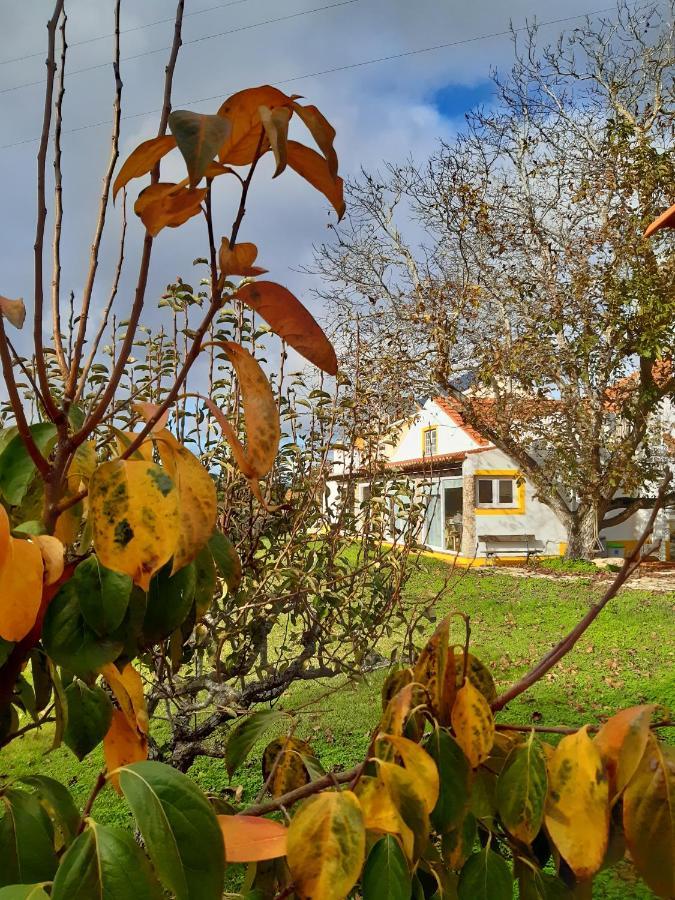 Quintal Do Freixo - Country House Sobral de Monte Agraço Dış mekan fotoğraf